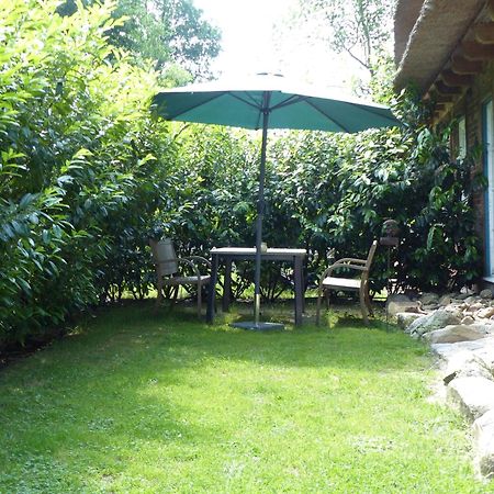 Ferienwohnung Sonnenschein Walsrode Kültér fotó